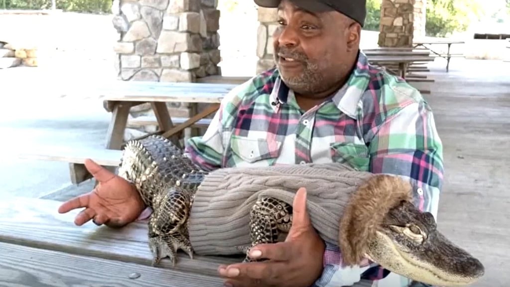 Wesley Silva und sein Alligator