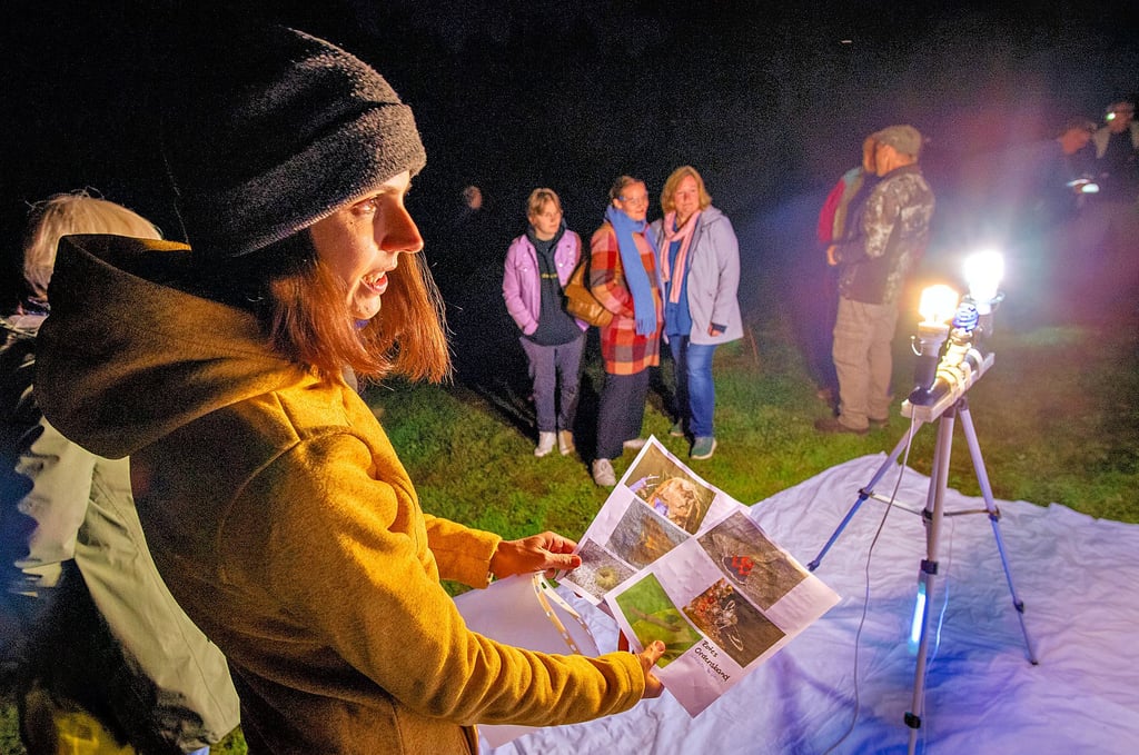 Geo-Naturparkmitarbeiterin Sabine Wüstemann begleitet die Aktion im Pfortenser Park.