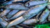 Das Abkommen soll die Fischerei nachhaltiger machen. (Symbolbild)