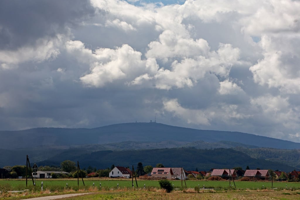 Die kommenden Tage bringen Wind und Wolken nach Sachsen-Anhalt. (Archivbild)