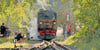 Eisenbahnromantik in Magdeburgerforth. Man muss sich nur entscheiden, ob man schöne Fotos von der Bahn oder aus der Bahn machen will. 