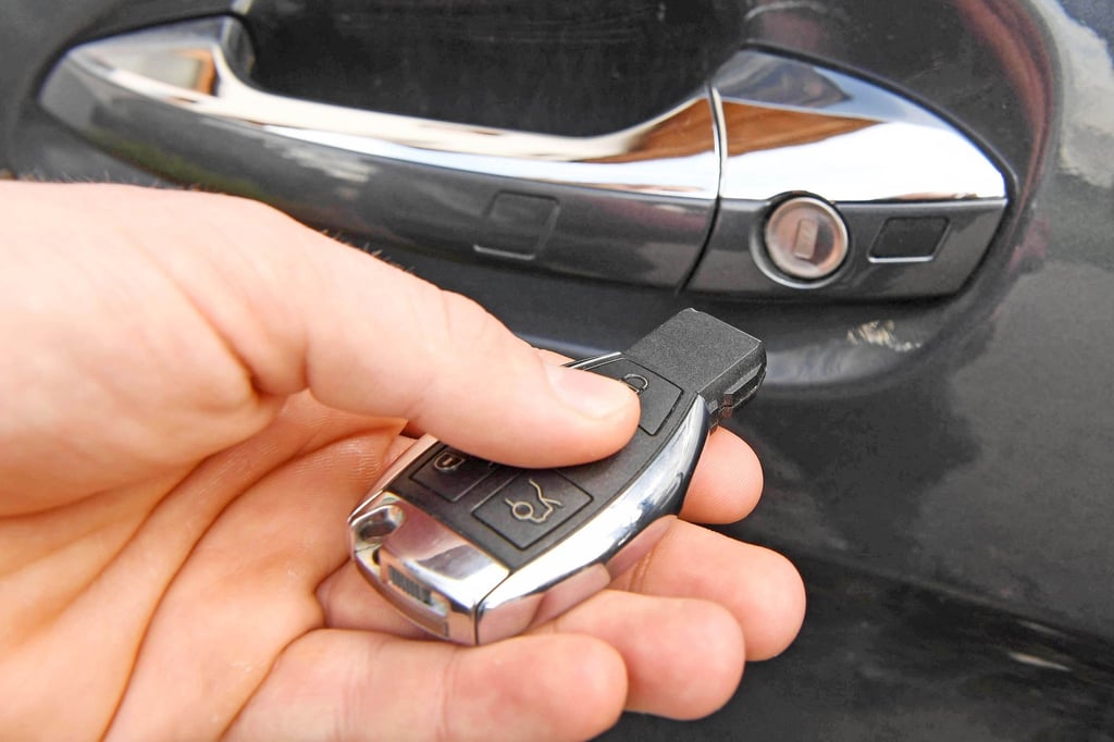 Mit sogenannten Keyless-Go-Systemen können Autos auch ohne einen Schlüssel zu zücken entriegelt und gestartet werden. (Archivbild)