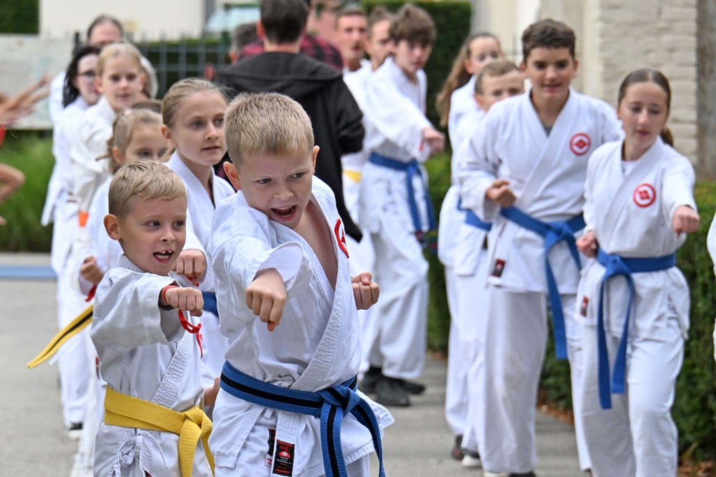 Die Jüngsten vom Ascania Karate Traditinell e. V. gaben im Bestehornpark ihr Bestes.