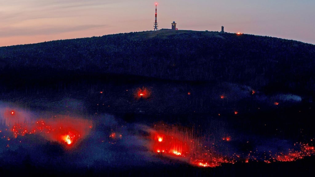 Wernigerode und der Harz kämpfen mit Folgen des Klimawandels - wie hier bei einem Waldbrand am Brocken im September 2024.