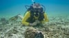 Hannes Jaenicke beim Tauchen in Indonesien mit einer Großen Blauen Krake (Day Octopus) im Vordergrund.