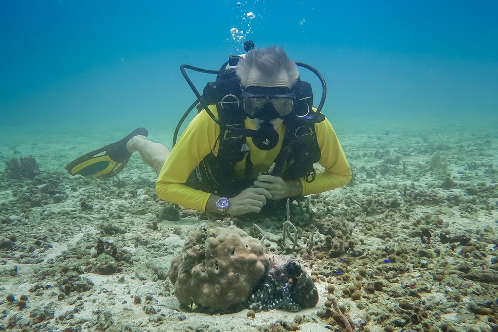 Hannes Jaenicke beim Tauchen in Indonesien mit einer Großen Blauen Krake (Day Octopus) im Vordergrund.