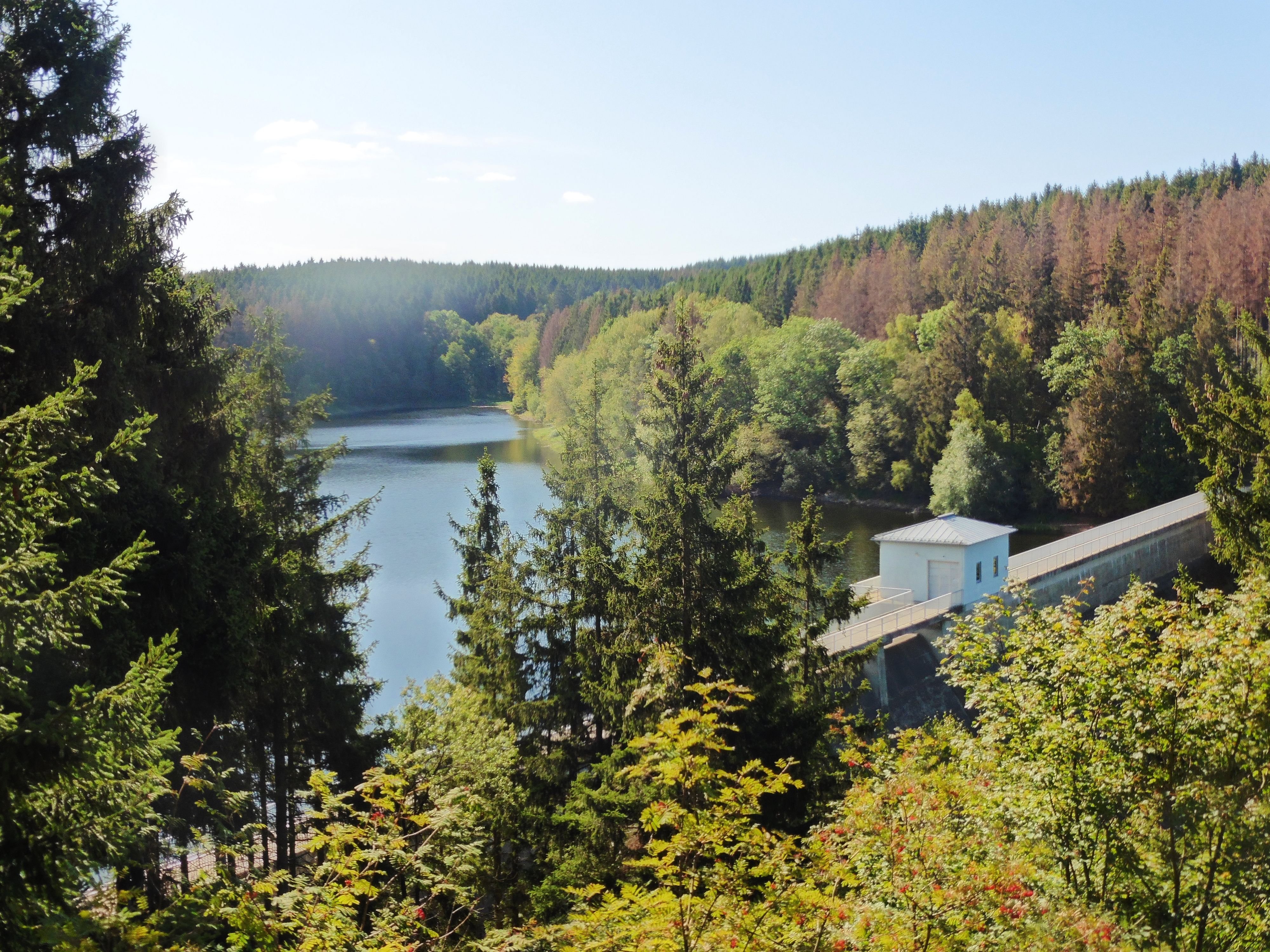 Forstrundwanderweg im Oberharz: Herbstwanderung im Harz: Wanderweg bei Elbingerode vermittelt historisches Wissen