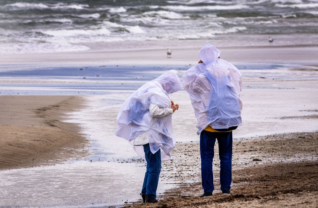 Sturmböen sorgen in Norddeutschland für einzelne Sperrungen und Ausfälle – größere Schäden bleiben aus.