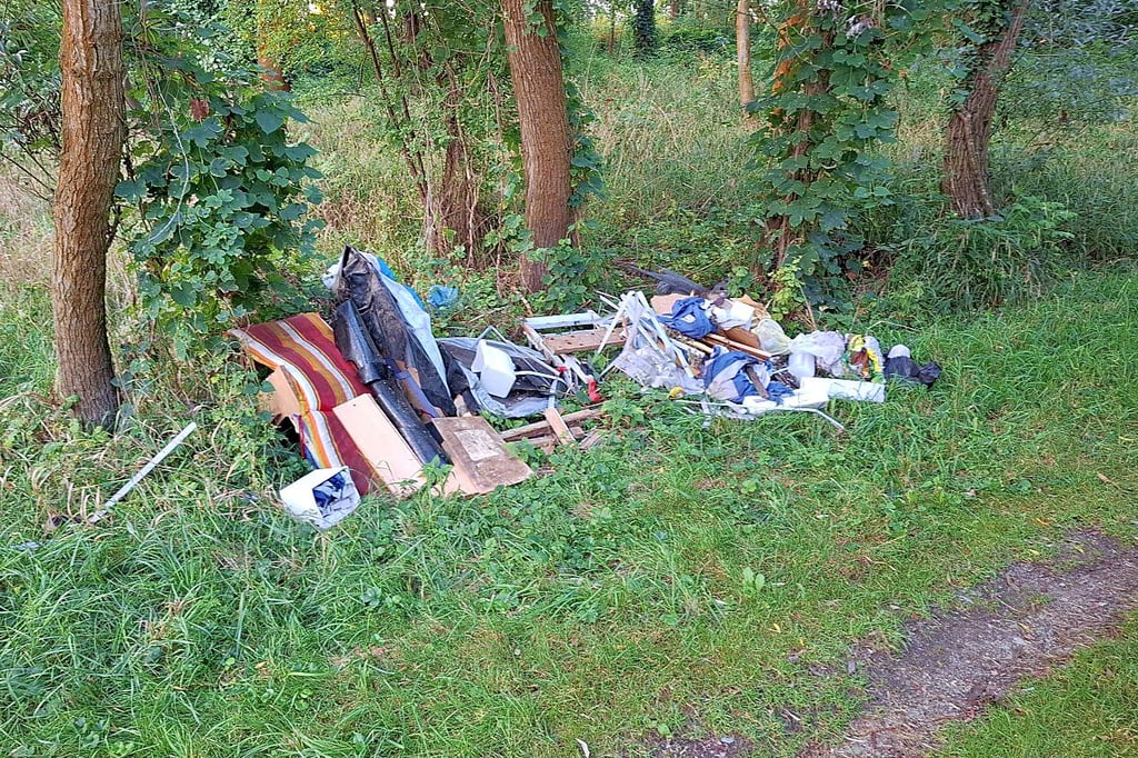 Schätzungsweise 1,5 Kubikmeter Sperrmüll, der zuletzt in der Staßfurter Horst, einem Landschaftsschutzgebiet, illegal entsorgt wurde.