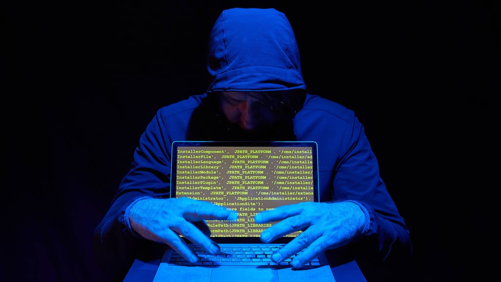 Computerkriminalität steigt - wie könne Städte wie Genthin ihre Daten sichern?
