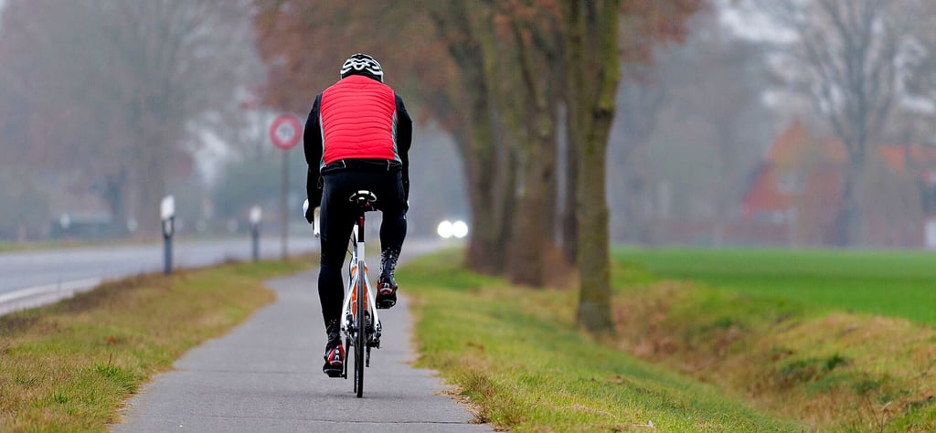 So könnte der Radweg an der Chausseestraße zwischen Großmühlingen und Eggersdorf aussehen.