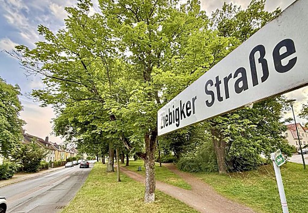 Einen Radweg gibt es auf der Ziebigker Straße nicht. Radler müssen sich die Fahrbahn mit den Autos teilen. Zudem gilt auf der Strecke Tempo 50.