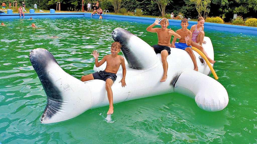 Das Waldbad Egeln, hier eine Aufnahme vom Fest im vergangenen Jahr, muss dringend saniert werden. Dafür bietet sich das Sondervermögen an.