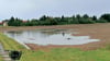 Nach Regen am 28. August steht ein Zallmsdorfer Acker unter Wasser. 