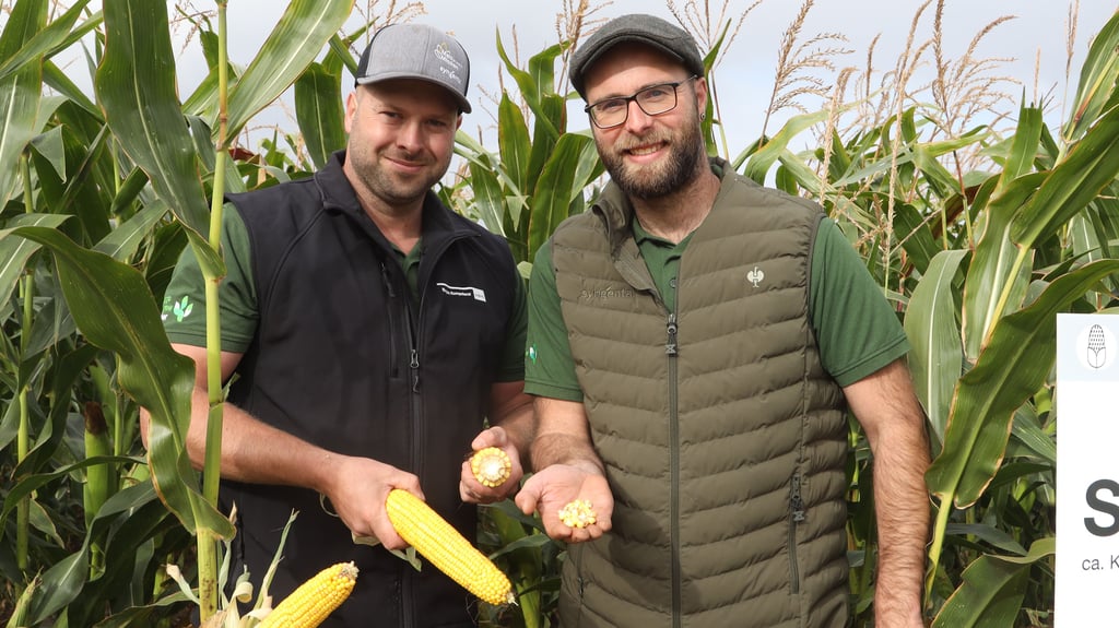Wieland Eisner von Syngenta und der Gersdorfer Landwirt Matthias Conert (rechts) haben Kollegen aus der Region zur sogenannten Sorten-Demo eingeladen. Im Mittelpunkt standen mehr als zehn verschieden Maissorten.
