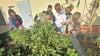 Die Kinder entdecken im September die letzten Erdbeeren und vernaschen sie direkt im Schulgarten.
