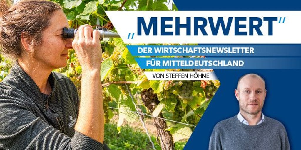 Newsletter Wein