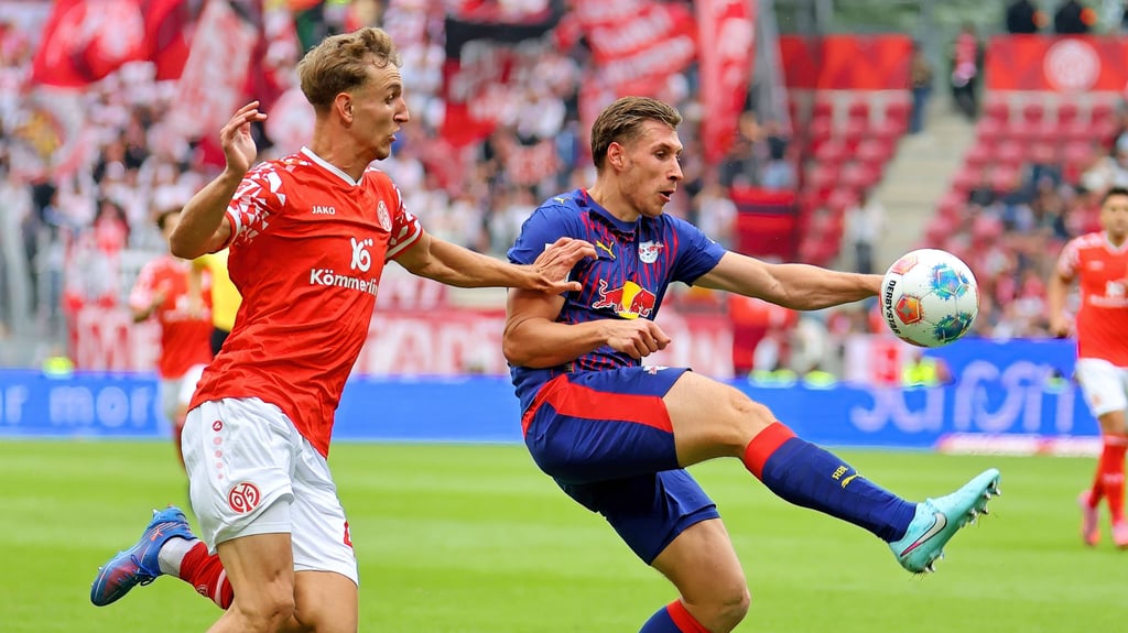 Die Null soll stehen: Willi Orban beim Spiel gegen Mainz.