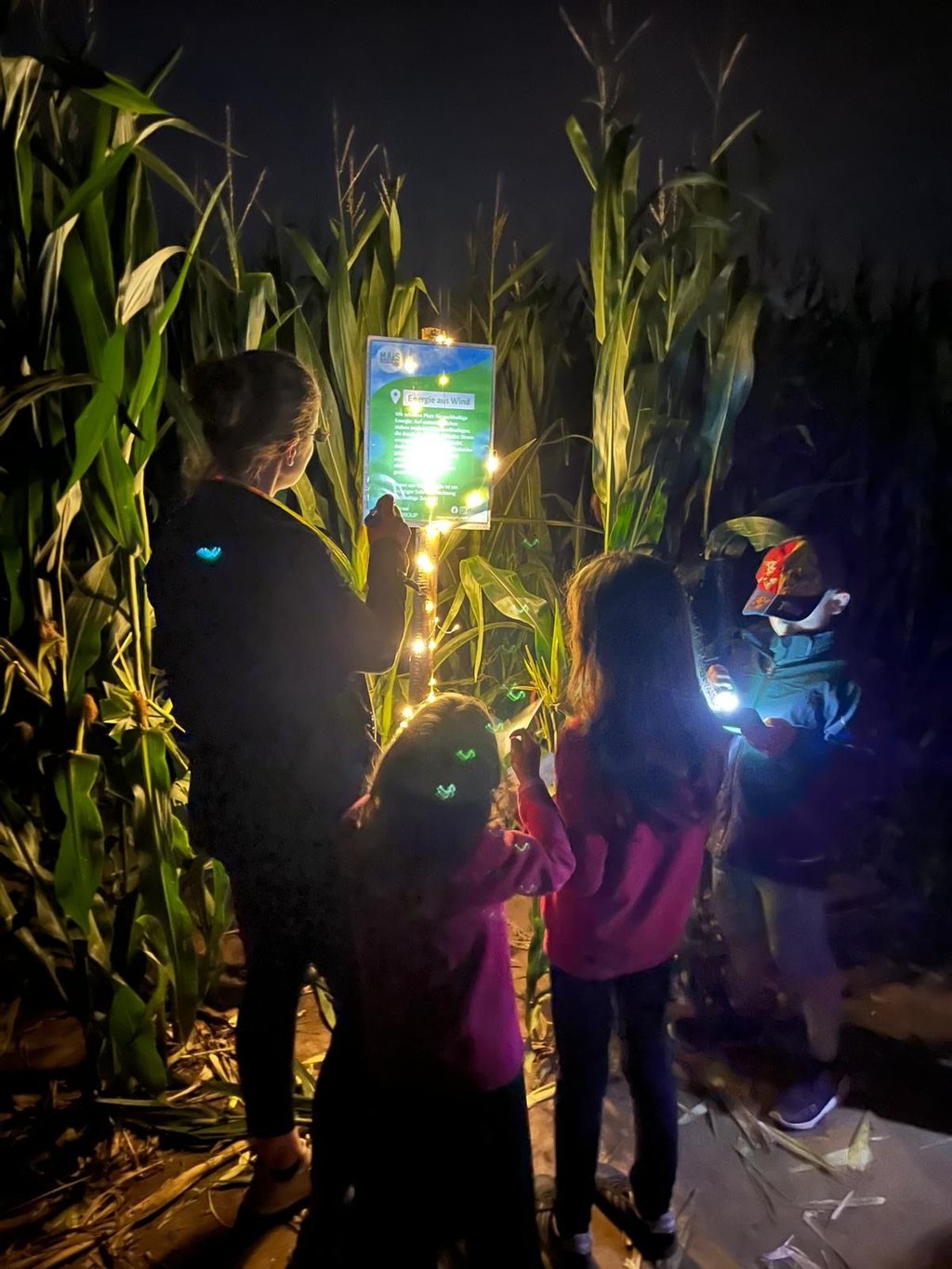 30.000 Euro sind durch den Irrgarten auf dem Petersberg zusammengekommen.