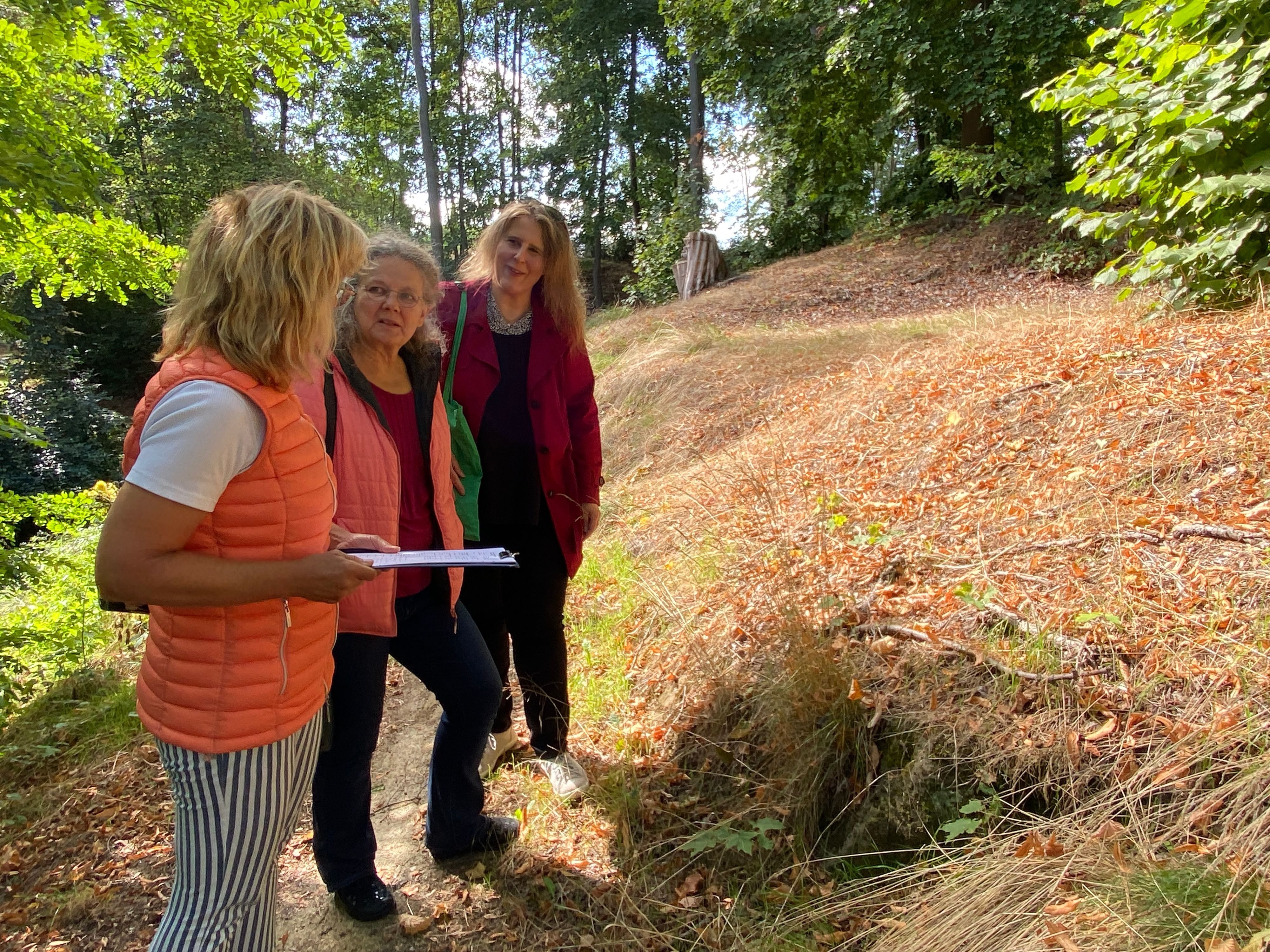 Mitmachaktion in Halberstadt: Halberstadts historischer Landschaftspark Spiegelsberge braucht Hilfe