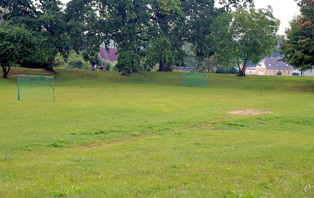 Die Lindauer Grundschule wünscht sich eine richtige Kleinsportanlage auf dem Burggelände.
