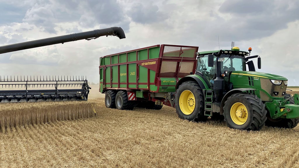 Die Landwirte des Burgenlandkreises – hier ein Foto von einem Feld bei Lützen vom Sommer – sind größtenteils zufrieden mit der diesjährigen Getreideernte. Sie erwähnen aber auch einiges Negatives.