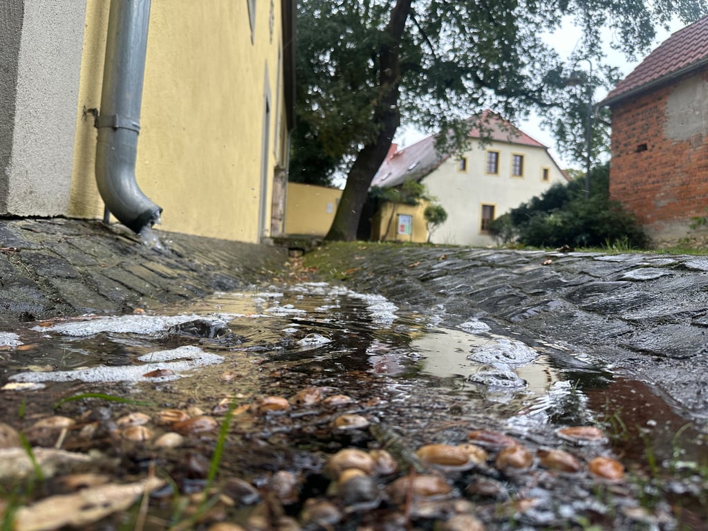 An der evangelischen Kirche in Biederitz sollen die Pläne des neuen Öko-Parks Anwendung finden.