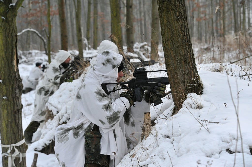 Soldaten des Panzerpionierbataillons 701 der Bundeswehr nutzen den Zeitzer Forst zur Ausbildung - hier ein Bild von 2012.