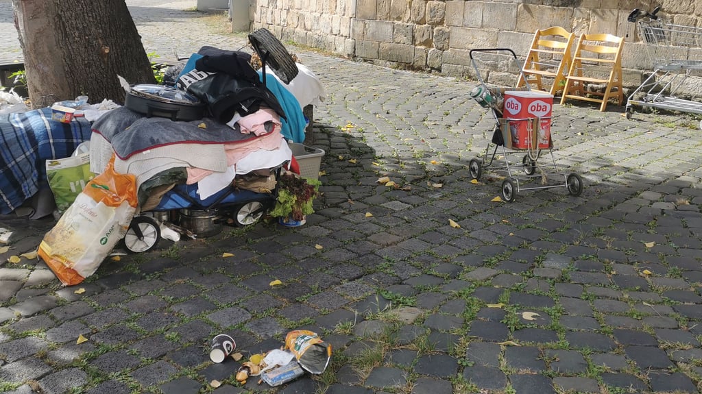 Ordnungsamt und Stala haben den Müll in der Gröperstraße am 18. September beseitigt. Doch es dürfte in der Altstadt von Halberstadt bald wiedere so aussehen