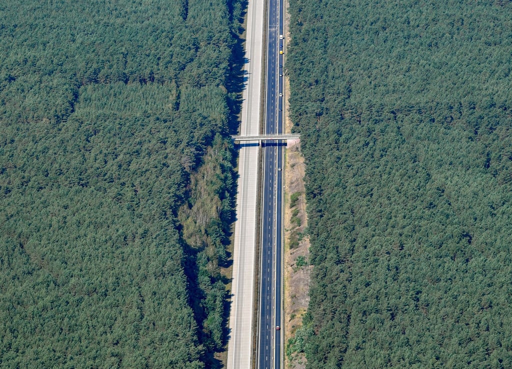 Die Sperrung der A15 ist wieder aufgehoben. (Archivbild)