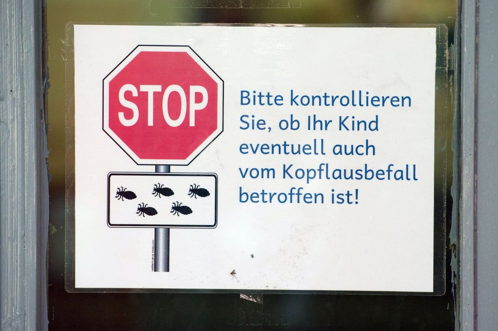 Immer mehr Kinder in Thüringen weisen Fälle von Parasitenbefall auf, zeigen Zahlen der Kassenärztlichen Vereinigung Thüringen. (Archivbild)