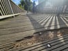 Der Weg an der Alten Elbe auf dem Werder in Magdeburg weist inzwischen sichtbare Schäden auf. 