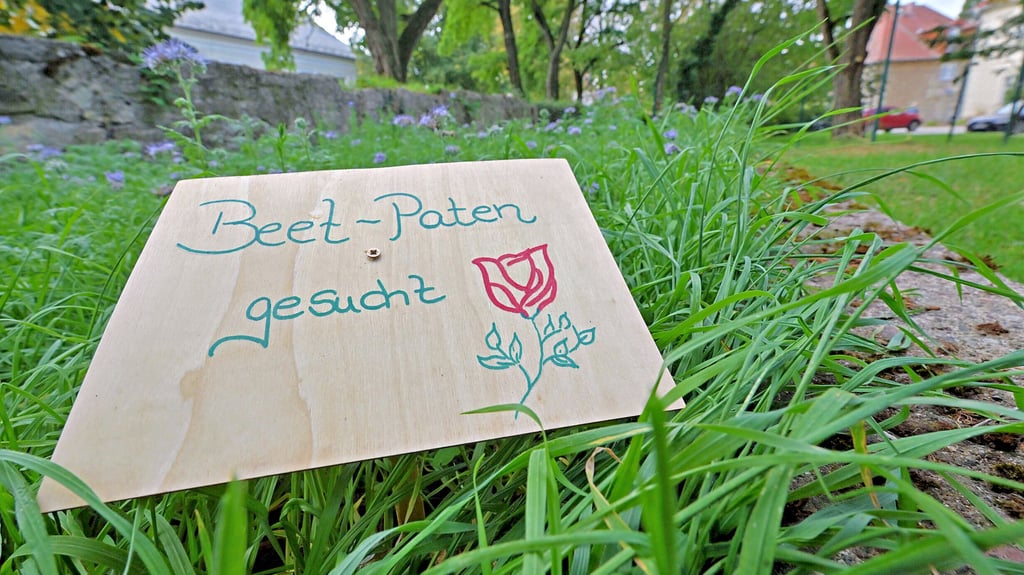 Der Hoymat-Verein hat für den Hoymer Bürgerpark Beetpaten gesucht – und gefunden.