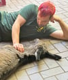Eselkind Samira wird jetzt von Tierparkchef Michael Engelmann betreut, nachdem seine Mutter verstorben ist.