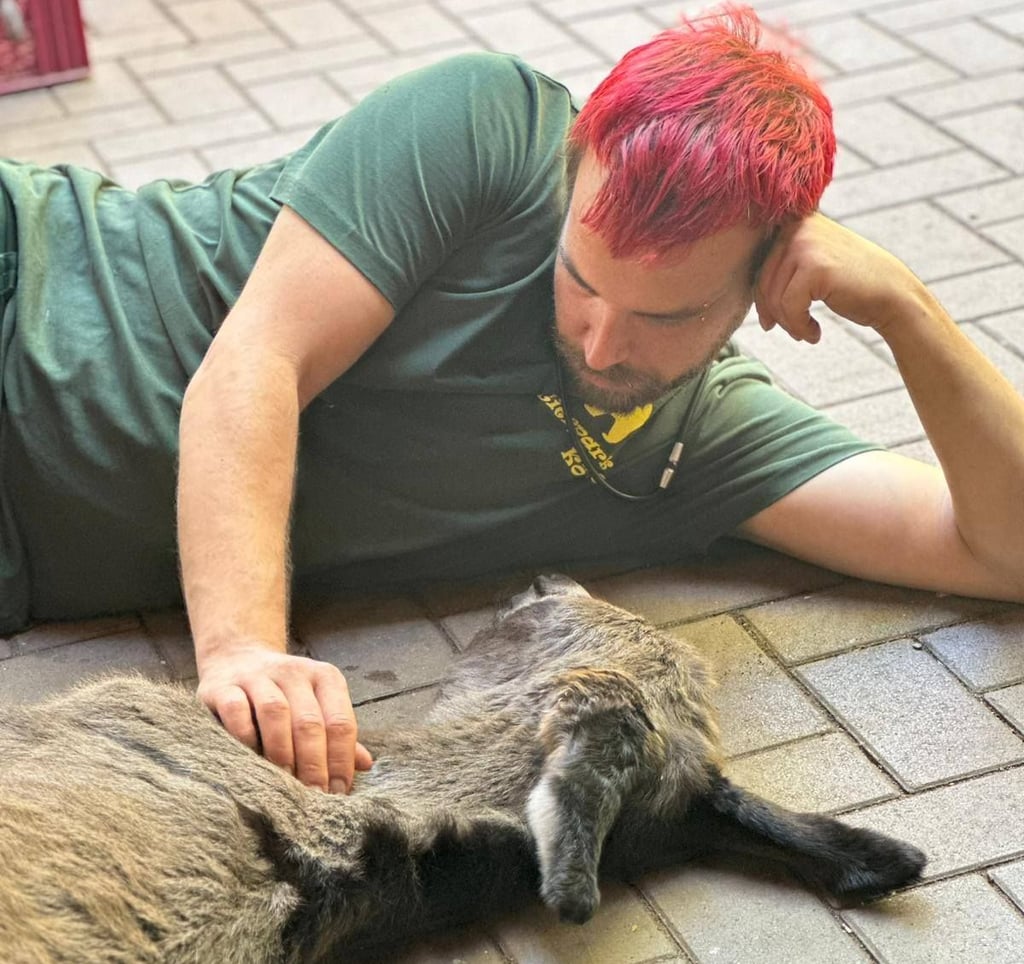 Eselkind Samira wird jetzt von Tierparkchef Michael Engelmann betreut, nachdem seine Mutter verstorben ist.