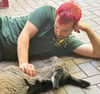 Eselkind Samira wird jetzt von Tierparkchef Michael Engelmann betreut, nachdem seine Mutter verstorben ist.