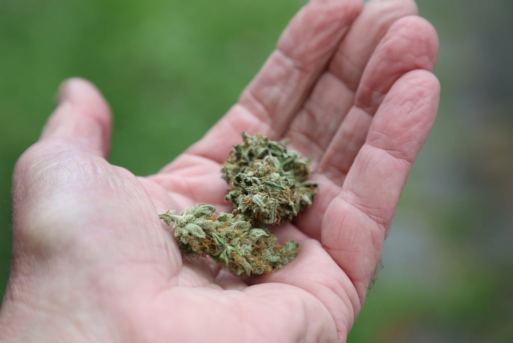 Keine unerhebliche Menge Marihuana wurde ein einer Wohnung gefunden.
