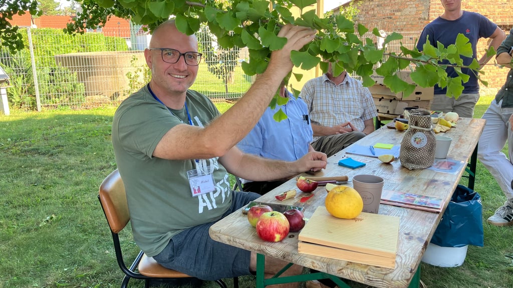 Hobbygärtner Michél Simon-Najasek hat unterm Ginkgobaum Apfel- und Birnensorten bestimmt.