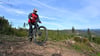 Für die Nutzung von Mountainbike-Strecken abseits befestigter Wege erhebt Thüringenforst ein Entgelt gegenüber Vereinen und Tourismus. Das sorgt für Kritik vom Regionalverbund Thüringer Wald. (Archivbild)