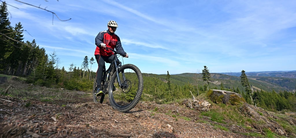 Für die Nutzung von Mountainbike-Strecken abseits befestigter Wege erhebt Thüringenforst ein Entgelt gegenüber Vereinen und Tourismus. Das sorgt für Kritik vom Regionalverbund Thüringer Wald. (Archivbild)