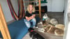 Jessica Kampe und die Co-Therapeuten Ari, Akiro und Angel (von vorn nach hinten) im Motorikraum der Ergotherapiepraxis, die in Räume im Humanas-Wohnpark Bad Suderode eingezogen ist.