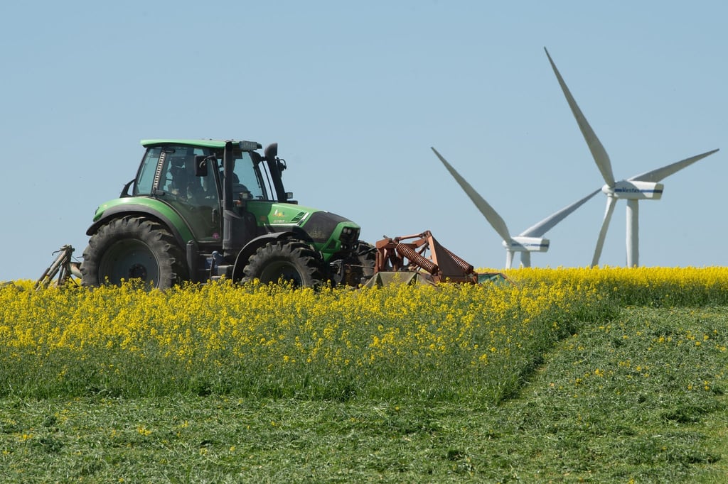 In Thüringen werden derzeit 8,3 Prozent der Landwirtschaftsfläche ökologisch bewirtschaftet. (Archivbild)