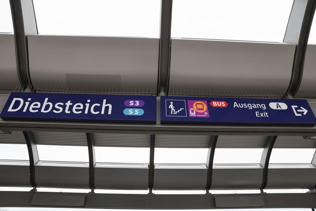 In der Hamburger S-Bahn ist ein Ehepaar von zwei Männern attackiert worden. (Archivbild)