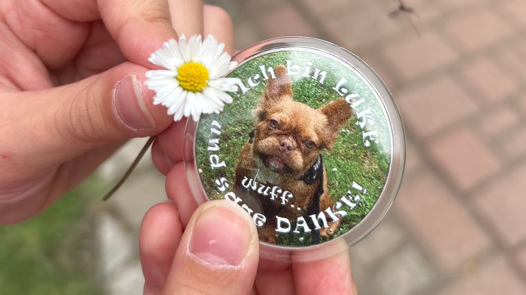 Jeder der Grundschüler hat beim Wiedersehen mit Luke einen solchen Button als Geschenk erhalten.