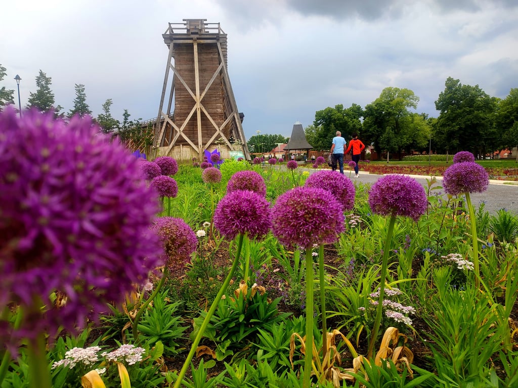Im April 2024 hatte die Landesgartenschau in Bad Dürrenberg ihre Tore geöffnet.
