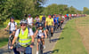 Wie ein Lindwurm schlängelte sich das Radlerfeld durchs Harzvorland