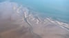 Hai-Experten haben in der Nordsee zwischen der ostfriesischen Insel Borkum und den westfriesischen Inseln in den Niederlanden ein Gebiet eingegrenzt, in dem sich regelmäßig neugeborene und junge Hundshaie aufhalten. (Archivbild)