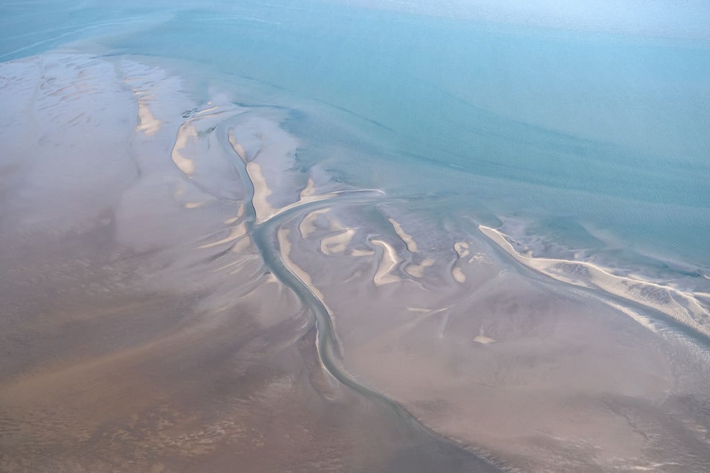 Hai-Experten haben in der Nordsee zwischen der ostfriesischen Insel Borkum und den westfriesischen Inseln in den Niederlanden ein Gebiet eingegrenzt, in dem sich regelmäßig neugeborene und junge Hundshaie aufhalten. (Archivbild)