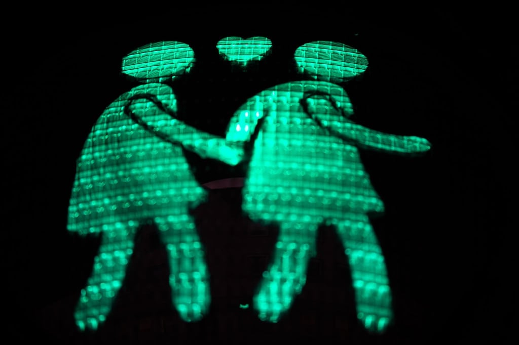 In Hildesheim zeigen mehrere Ampelanlagen gleichgeschlechtliche Ampelpärchen bei Grün - darüber muss nun das Verwaltungsgericht Hannover entscheiden