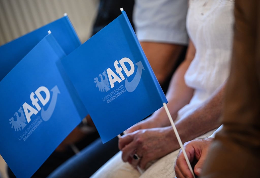 Laut einer Umfrage spricht sich die Mehrheit der Brandenburgerinnen und Brandenburger gegen eine Regierungsbeteiligung der AfD aus (Archivbild).